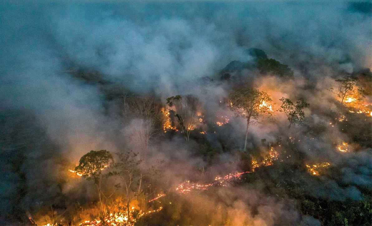 Fotografia. Vista geral de local com floresta de folhas em verde e chamas em laranja e partes em amarelo. Na parte superior, grande quantidade de fumaça em cinza.