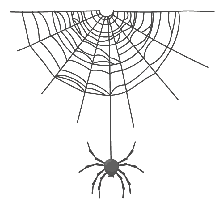 Ilustração. Teia arredondada em preto, com uma aranha preta, abaixo, ligada por uma linha fina ao centro.