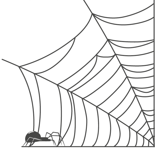 Ilustração. Uma teia de aranha de cor preta. Na ponta da esquerda, uma aranha de tamanho pequeno em preto, de patas finas.