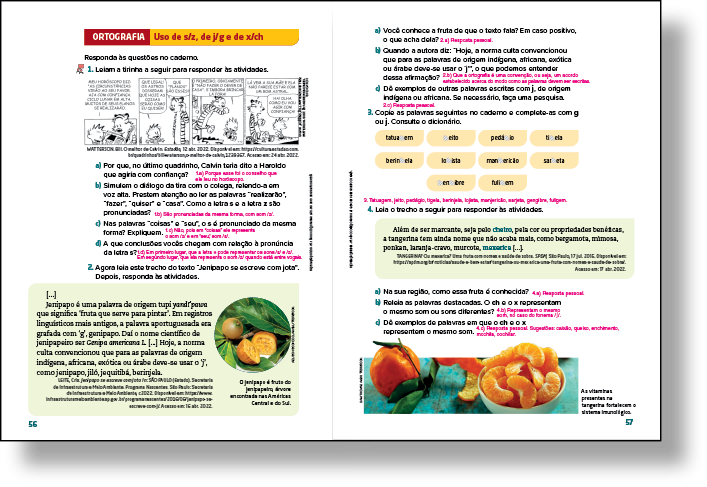 Reprodução de página de livro. Destaque para a seção Ortografia/acentuação/pontuação.