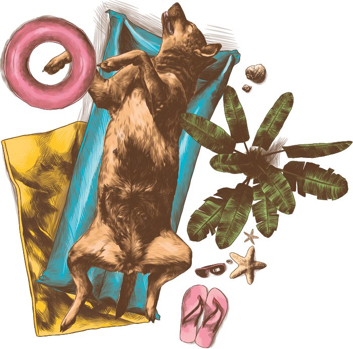 Ilustração. Um cão de pelos marrons na vertical, em pé, com a cabeça para a esquerda. Ele está com a pata perto de um objeto redondo em rosa. Na ponta da direita, um par de chinelos em rosa, uma estrela em bege, par de óculos de sol e folhas em verde-escuro. Em segundo plano, dois retângulos na vertical em azul e amarelo.
