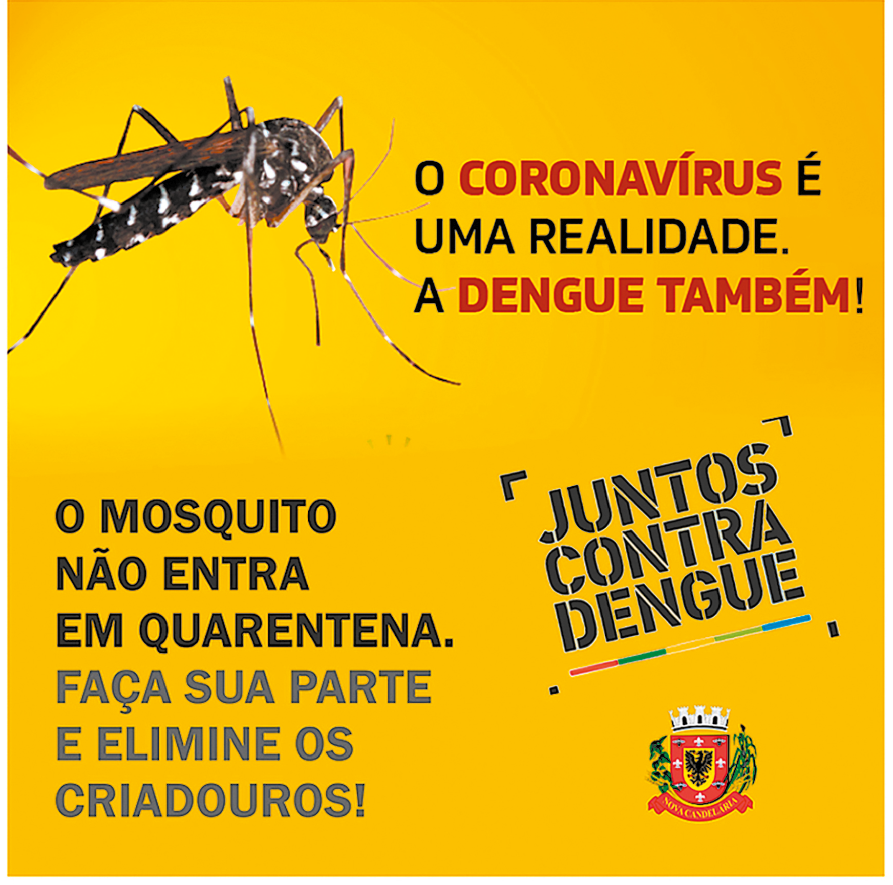 Cartaz. Cartaz na vertical em amarelo. Na parte superior, à esquerda, mosquito de corpo alongado em preto e listras em branco, com par de asas sobre as costas e patas longas. Texto: O CORONAVÍRUS É UMA REALIDADE. A DENGUE TAMBÉM! O MOSQUITO NÃO ENTRA EM QUARENTENA. FAÇA SUA PARTE E ELIMINE OS CRIADOUROS! Carimbo e texto: JUNTOS CONTRA DENGUE. Na parte inferior, à direita, um logotipo.