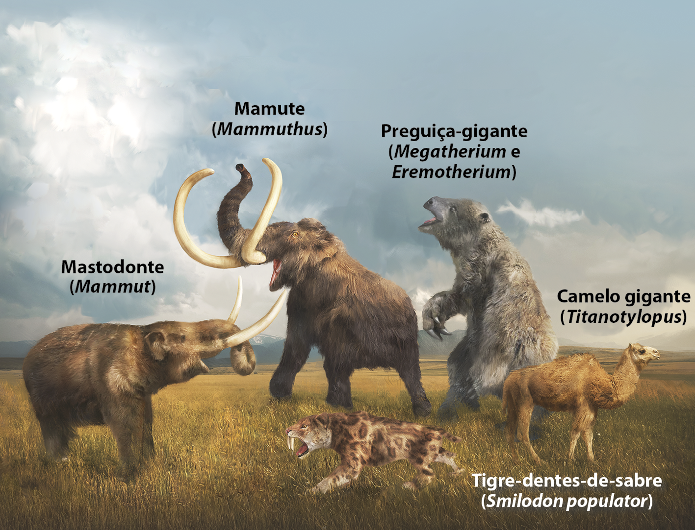 Ilustração. Cinco espécies de animais extintos em um campo aberto. Da esquerda para a direita: um mastodonte (Mammut), animal semelhante ao elefante, com grandes presas voltadas para cima; um mamute (Mammuthus), animal também semelhante ao elefante, porém mais alto do que o mastodonte e com presas maiores e mais curvadas;  um tigre-dentes-de-sabre (Smilodon populator), animal semelhante a um tigre, com grandes dentes caninos; uma preguiça-gigante (Megatherium e Etemotherium), animal semelhante ao bicho-preguiça, porém de dimensões muito maiores; e um camelo gigante (Titanotylopus), animal com uma corcova nas costas, semelhante ao camelo, porém mais alto.