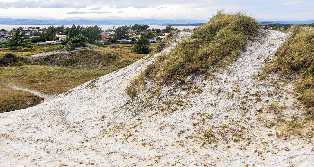Fotografia. Em primeiro plano, monte formado por conchas e areia branca, parcialmente coberto por vegetação rala. Em segundo plano, área gramada, árvores esparsas e algumas construções. Ao fundo, o mar.