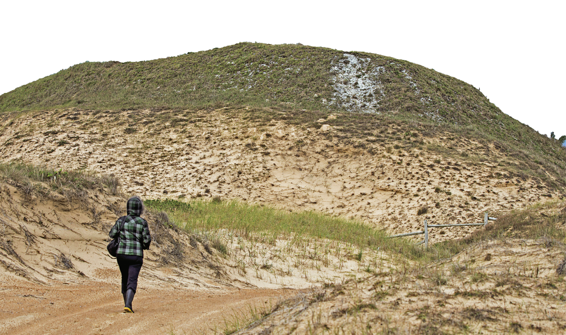 Fotografia. Destaque para montanha alta, coberta por areia, conchas e vegetação rasteira. No canto esquerdo, uma mulher vista de costas anda sobre um caminho de terra.