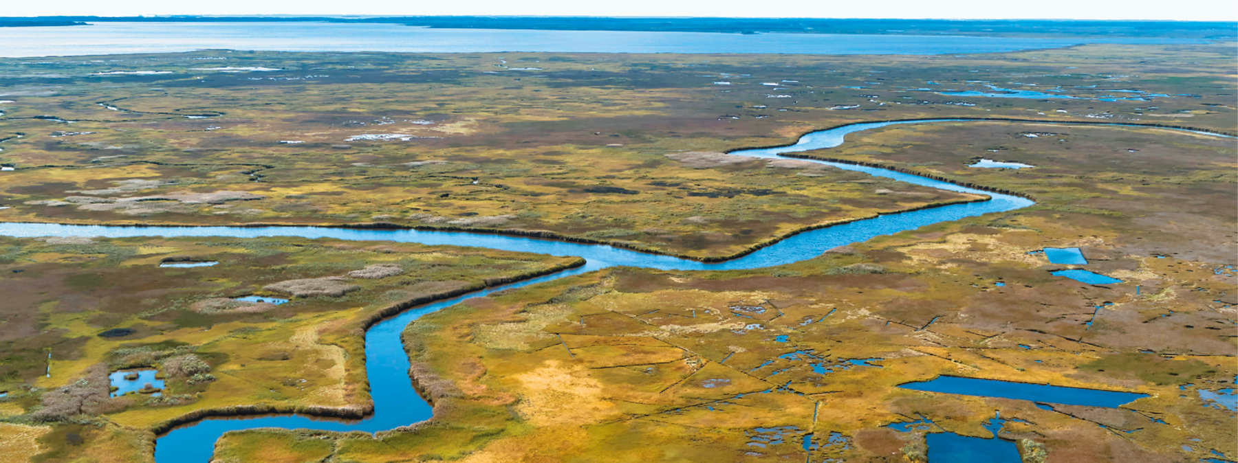 Fotografia. Vista aérea de uma região com vegetação baixa em tons amarelados e esverdeados, entrecortada por um rio de águas azuis que refletem a cor do céu. Alguns pequenos lagos se formam nas várzeas. Ao fundo, o mar.