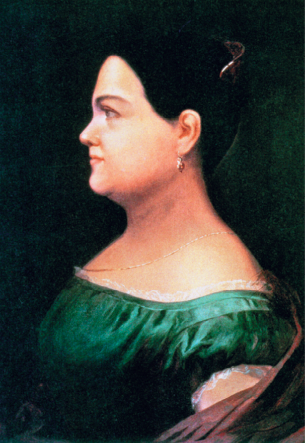 Pintura. Retrato de perfil de uma mulher de cabelo escuro preso no alto, em coque. O queixo é arredondado e o pescoço largo. Usa brinco e um vestido em verde, com renda em branco, que lhe deixa o colo nu.