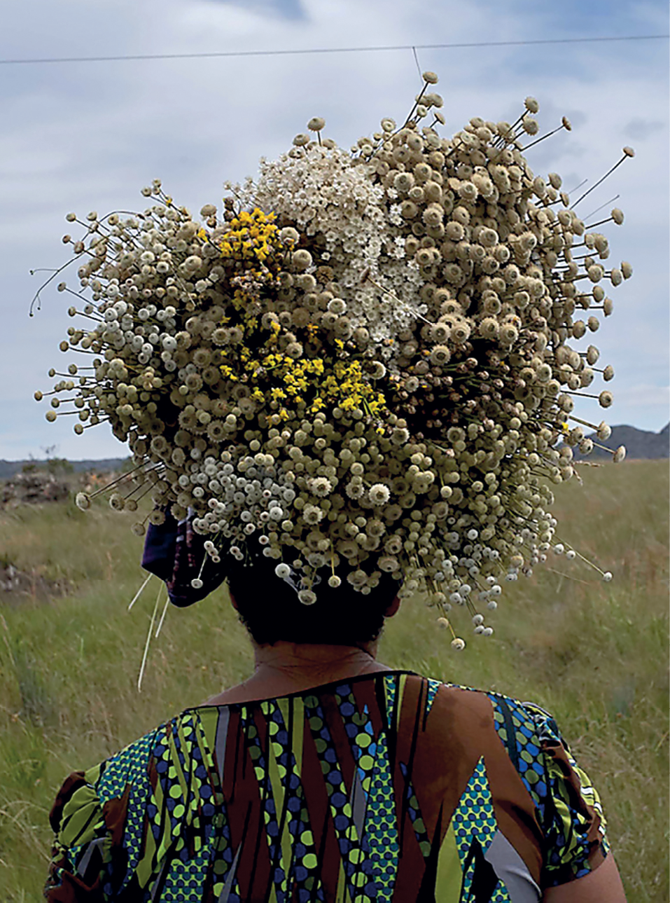 Fotografia. Retrato de uma pessoa vista de costas, de frente para um campo verde formado por gramíneas em uma área de relevo aplainado. Sobre a cabeça ela carrega flores brancas e amarelas.