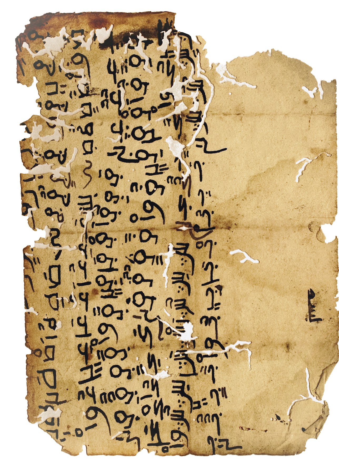 Fotografia. Parte de um manuscrito antigo, com manchas e rasgos. Há texto escrito em árabe, em cor preta, alinhados em colunas no centro e à esquerda da folha.