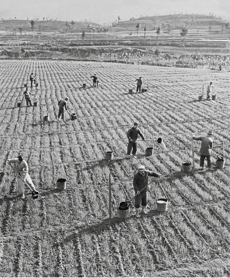 Fotografia em preto e branco. Vista de um campo aberto com pessoas preparando o solo para o plantio.