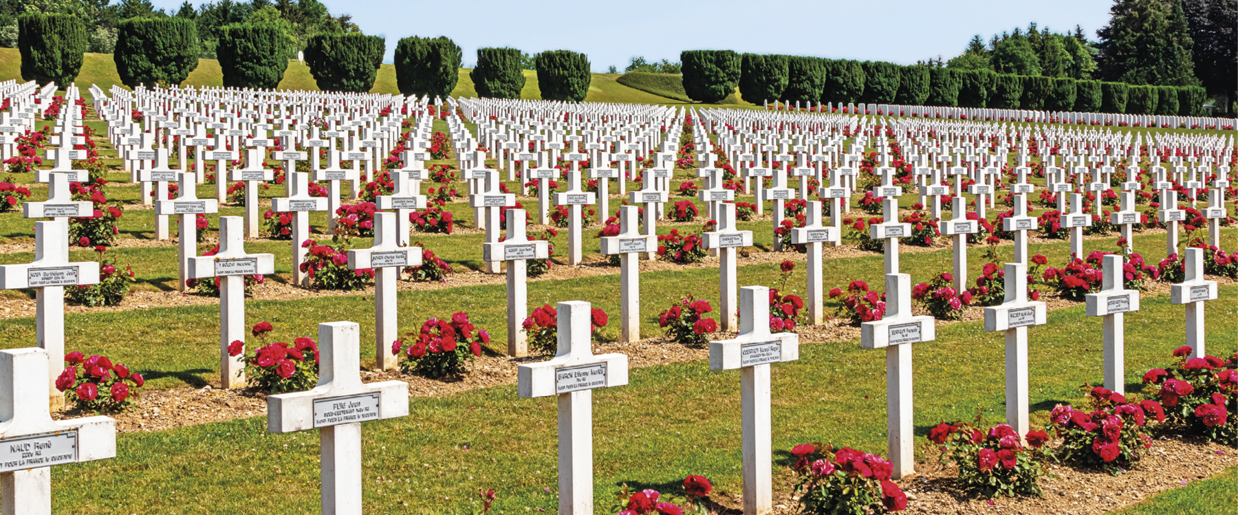 Fotografia. Cemitério em uma área plana e verde. Cada túmulo tem uma cruz branca e flores vermelhas. Ao fundo, algumas árvores.