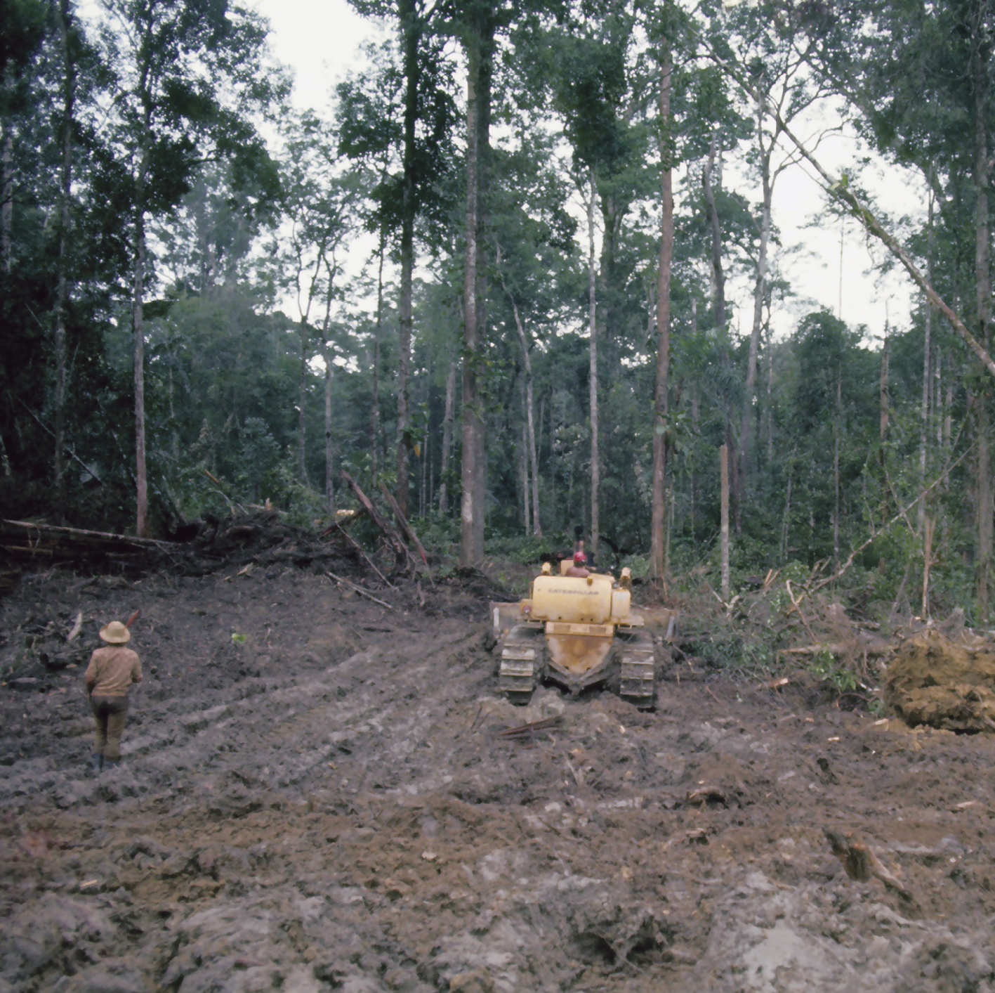Fotografia. Imagem de clareira em uma mata fechada. No primeiro plano, homem com trator utilizado para derrubar as árvores. No segundo plano, as árvores que ainda estão em pé.