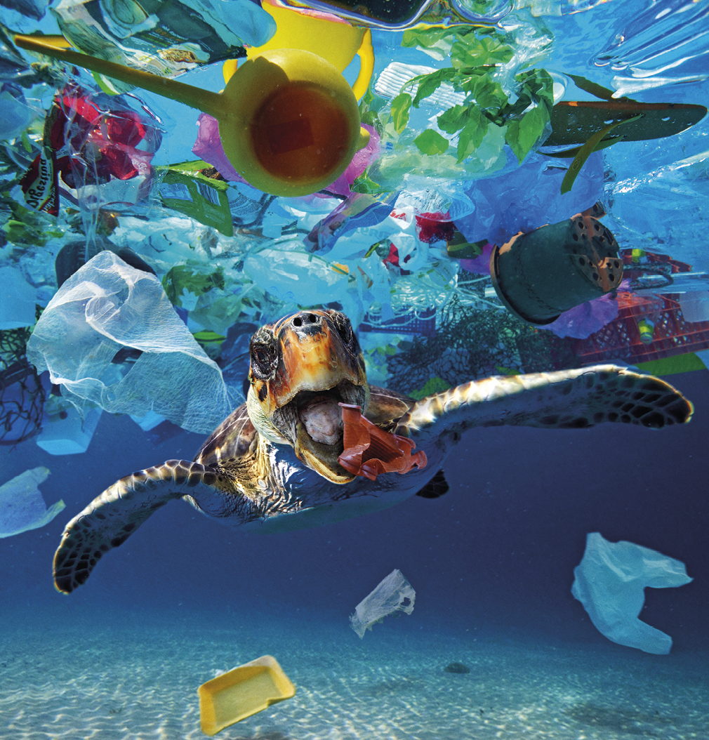 Fotografia. Imagem subaquática. No centro da imagem, no fundo do mar,  uma tartaruga marinha com o corpo e em tons de bege, marrom e branco, abocanhando um pedaço de plástico vermelho. Ao redor dela, em meio ao azul das águas, muito lixo plástico, desde o fundo até a superfície: uma bandeja de isopor amarela, potes, embalagens plásticas, um vaso e muitas sacolinhas.